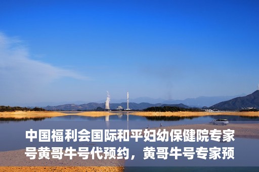 中国福利会国际和平妇幼保健院专家号黄哥牛号代预约，黄哥牛号专家预约服务，中国福利会国际和平妇幼保健院便捷就医新通道