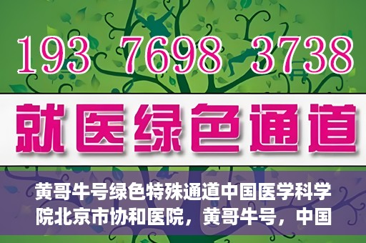 黄哥牛号绿色特殊通道中国医学科学院北京市协和医院，黄哥牛号，中国医学科学院北京市协和医院开启绿色特殊通道助力健康前行