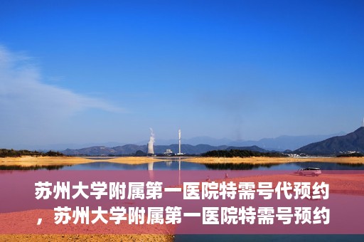 苏州大学附属第一医院特需号代预约，苏州大学附属第一医院特需号预约服务详解