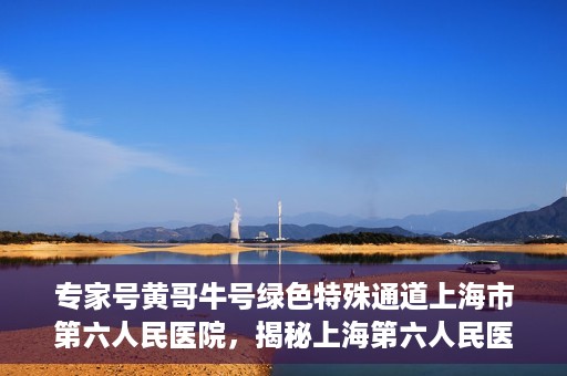 专家号黄哥牛号绿色特殊通道上海市第六人民医院，揭秘上海第六人民医院专家号黄哥牛号绿色特殊通道内幕