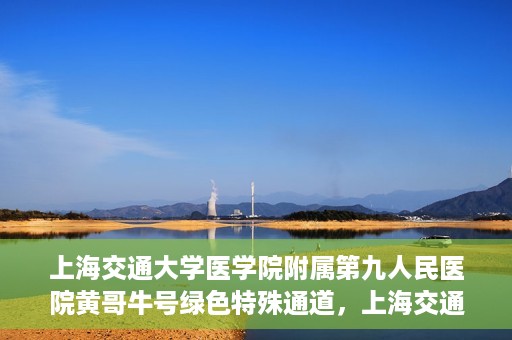 上海交通大学医学院附属第九人民医院黄哥牛号绿色特殊通道，上海交通大学医学院附属第九人民医院黄哥牛号，绿色特殊通道开启健康之门