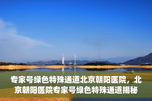 专家号绿色特殊通道北京朝阳医院，北京朝阳医院专家号绿色特殊通道揭秘，医疗服务的创新与优化体验