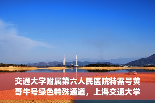 交通大学附属第六人民医院特需号黄哥牛号绿色特殊通道，上海交通大学附属第六人民医院特需号专家黄哥牛号绿色通道解析