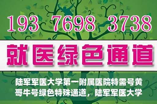 陆军军医大学第一附属医院特需号黄哥牛号绿色特殊通道，陆军军医大学第一附属医院特需号黄哥牛号，绿色特殊通道的独家解读