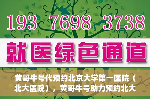 黄哥牛号代预约北京大学第一医院（北大医院），黄哥牛号助力预约北大医院——北京大学第一医院权威预约服务开启