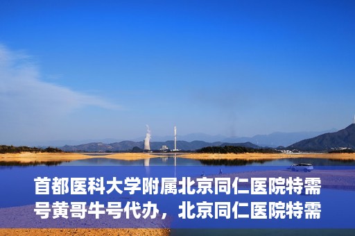首都医科大学附属北京同仁医院特需号黄哥牛号代办，北京同仁医院特需号黄哥牛号代办，深度解析医疗服务的特殊渠道