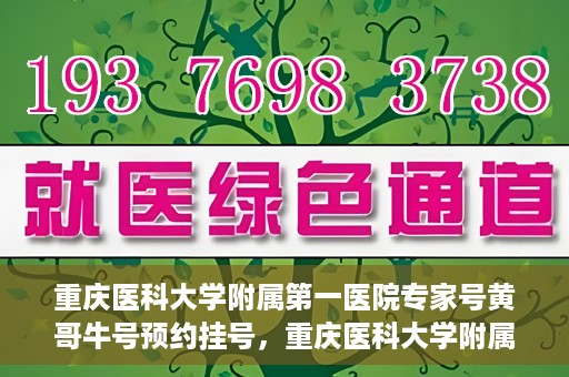 重庆医科大学附属第一医院专家号黄哥牛号预约挂号，重庆医科大学附属第一医院专家黄哥牛号——预约挂号攻略