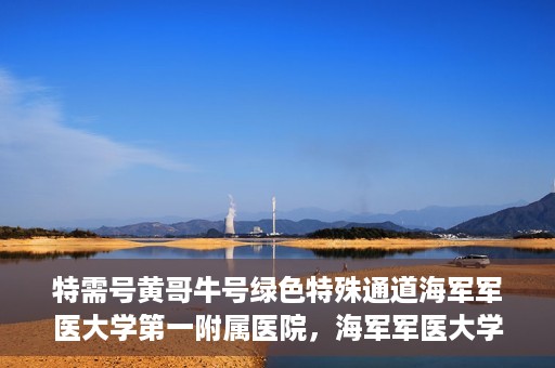 特需号黄哥牛号绿色特殊通道海军军医大学第一附属医院，海军军医大学第一附属医院特需号绿色特殊通道揭秘——黄哥牛号传奇故事