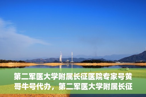 第二军医大学附属长征医院专家号黄哥牛号代办，第二军医大学附属长征医院专家号‘黄哥牛号’预约代办服务解析