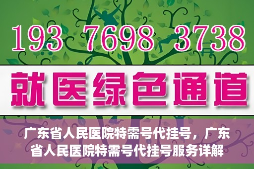 广东省人民医院特需号代挂号，广东省人民医院特需号代挂号服务详解