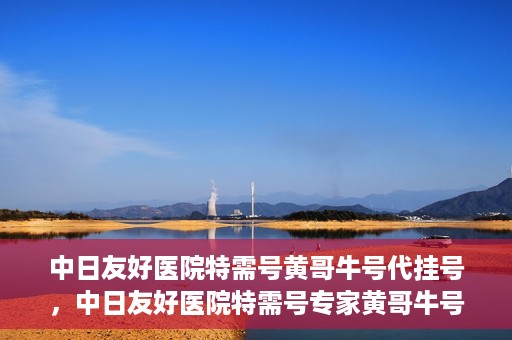 中日友好医院特需号黄哥牛号代挂号，中日友好医院特需号专家黄哥牛号代挂号服务解析