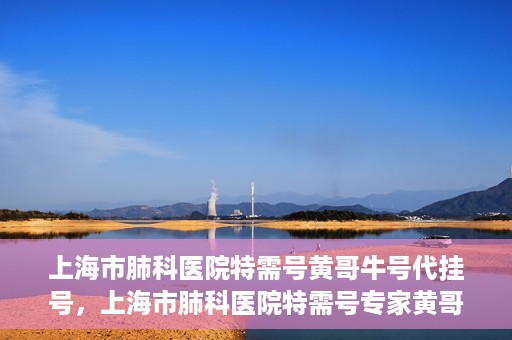 上海市肺科医院特需号黄哥牛号代挂号，上海市肺科医院特需号专家黄哥牛号预约挂号攻略