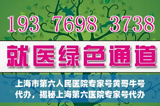 上海市第六人民医院专家号黄哥牛号代办，揭秘上海第六医院专家号代办背后的故事，黄哥牛号代办真相揭秘