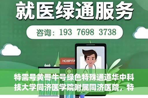 特需号黄哥牛号绿色特殊通道华中科技大学同济医学院附属同济医院，特需号黄哥牛号背后的绿色特殊通道，华中科技大学同济医学院附属同济医院的探索与实践