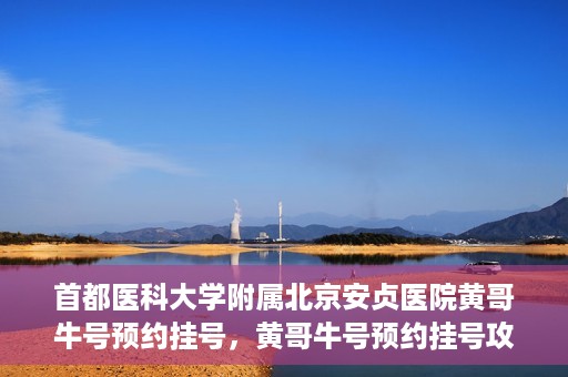 首都医科大学附属北京安贞医院黄哥牛号预约挂号，黄哥牛号预约挂号攻略，首都医科大学附属北京安贞医院就医指南