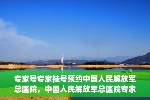 专家号专家挂号预约中国人民解放军总医院，中国人民解放军总医院专家号预约挂号攻略，专业医疗，一键预约
