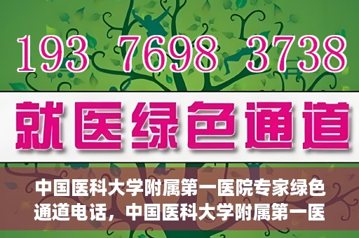 中国医科大学附属第一医院专家绿色通道电话，中国医科大学附属第一医院专家绿色通道热线电话揭秘