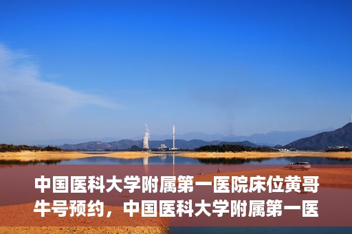 中国医科大学附属第一医院床位黄哥牛号预约，中国医科大学附属第一医院床位预约攻略，黄哥牛号预约详解