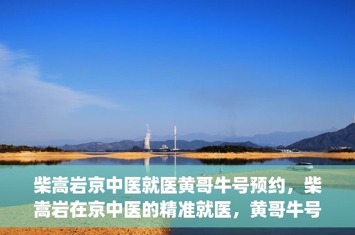 柴嵩岩京中医就医黄哥牛号预约，柴嵩岩在京中医的精准就医，黄哥牛号预约攻略