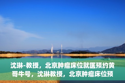沈琳-教授，北京肿瘤床位就医预约黄哥牛号，沈琳教授，北京肿瘤床位预约秘籍揭秘——黄哥牛号引领就医新风尚