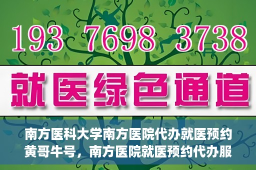 南方医科大学南方医院代办就医预约黄哥牛号，南方医院就医预约代办服务背后的故事，黄哥牛号引领便捷就医新风尚