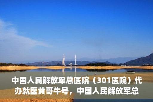 中国人民解放军总医院（301医院）代办就医黄哥牛号，中国人民解放军总医院（301医院）黄哥就医助手号详解