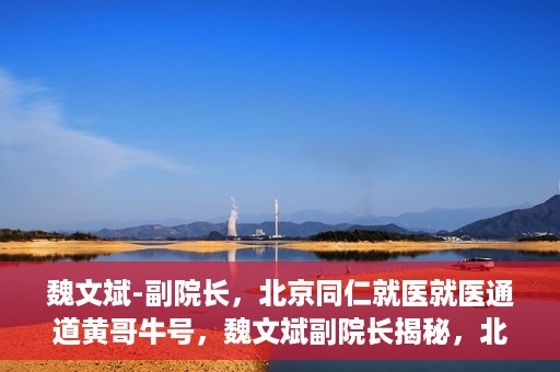 魏文斌-副院长，北京同仁就医就医通道黄哥牛号，魏文斌副院长揭秘，北京同仁就医通道黄哥牛号背后的故事