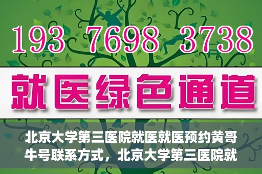 北京大学第三医院就医就医预约黄哥牛号联系方式，北京大学第三医院就医预约指南，黄哥牛号联系方式全解析
