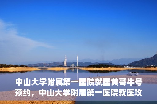 中山大学附属第一医院就医黄哥牛号预约，中山大学附属第一医院就医攻略，黄哥牛号预约指南