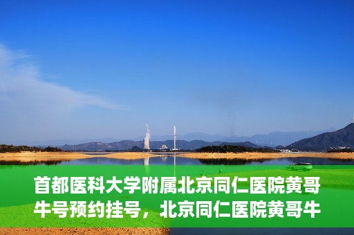 首都医科大学附属北京同仁医院黄哥牛号预约挂号，北京同仁医院黄哥牛号预约挂号攻略，专业医疗服务的便捷通道