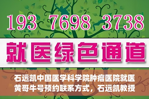 石远凯中国医学科学院肿瘤医院就医黄哥牛号预约联系方式，石远凯教授，中国医学科学院肿瘤医院就医攻略及黄哥牛号预约联系方式揭秘