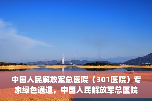 中国人民解放军总医院（301医院）专家绿色通道，中国人民解放军总医院专家绿色通道，高效就医新通道开启