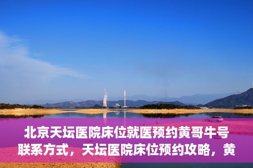 北京天坛医院床位就医预约黄哥牛号联系方式，天坛医院床位预约攻略，黄哥牛号联系方式揭秘