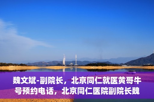 魏文斌-副院长，北京同仁就医黄哥牛号预约电话，北京同仁医院副院长魏文斌，就医黄哥牛号预约电话解析