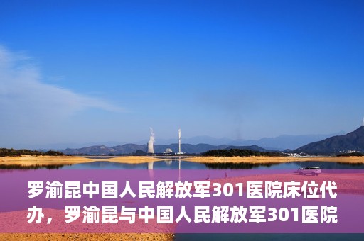 罗渝昆中国人民解放军301医院床位代办，罗渝昆与中国人民解放军301医院床位代办的幕后故事