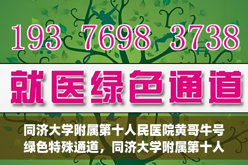 同济大学附属第十人民医院黄哥牛号绿色特殊通道，同济大学附属第十人民医院黄哥牛号，绿色特殊通道开启健康之门