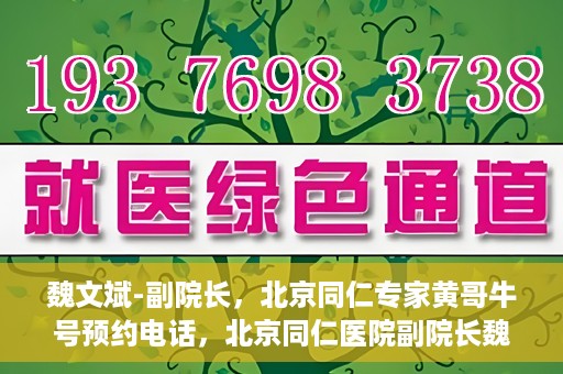 魏文斌-副院长，北京同仁专家黄哥牛号预约电话，北京同仁医院副院长魏文斌与专家黄哥牛号预约热线揭秘