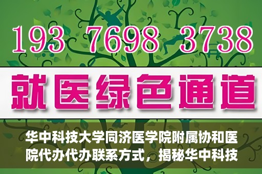 华中科技大学同济医学院附属协和医院代办代办联系方式，揭秘华中科技大学同济医学院附属协和医院代办联系方式，一站式服务指南