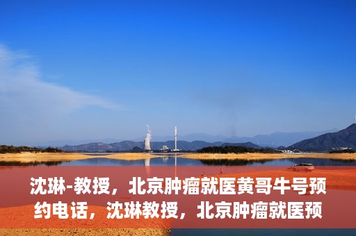 沈琳-教授，北京肿瘤就医黄哥牛号预约电话，沈琳教授，北京肿瘤就医预约热线及黄哥牛号解析