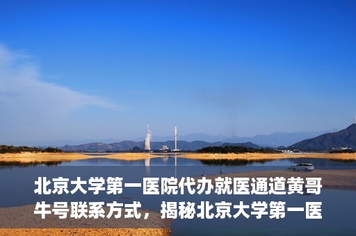 北京大学第一医院代办就医通道黄哥牛号联系方式，揭秘北京大学第一医院就医通道代办人黄哥牛号联系方式，就医无忧服务背后的真相？