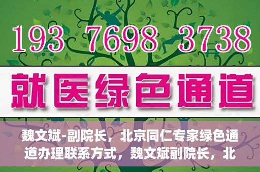 魏文斌-副院长，北京同仁专家绿色通道办理联系方式，魏文斌副院长，北京同仁专家绿色通道联系方式全解析
