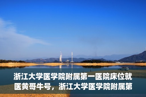 浙江大学医学院附属第一医院床位就医黄哥牛号，浙江大学医学院附属第一医院床位就医攻略，黄哥牛号助您轻松挂号就医