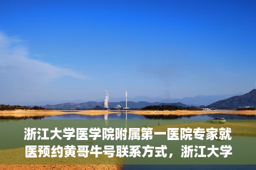 浙江大学医学院附属第一医院专家就医预约黄哥牛号联系方式，浙江大学医学院附属第一医院专家就医预约，黄哥牛号联系方式全解析