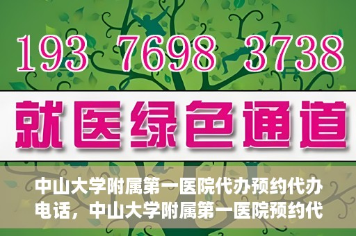 中山大学附属第一医院代办预约代办电话，中山大学附属第一医院预约代办服务热线揭秘