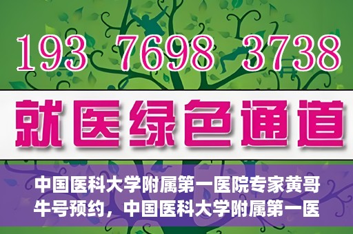 中国医科大学附属第一医院专家黄哥牛号预约，中国医科大学附属第一医院专家黄哥牛预约挂号攻略