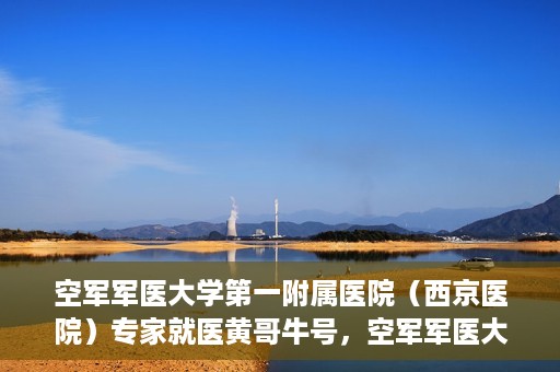 空军军医大学第一附属医院（西京医院）专家就医黄哥牛号，空军军医大学第一附属医院黄哥牛号专家就医解析