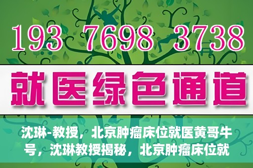 沈琳-教授，北京肿瘤床位就医黄哥牛号，沈琳教授揭秘，北京肿瘤床位就医攻略——黄哥牛号引领健康之路
