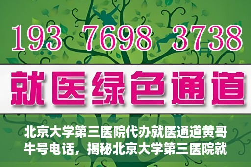 北京大学第三医院代办就医通道黄哥牛号电话，揭秘北京大学第三医院就医代办通道背后的黄哥牛号电话秘密
