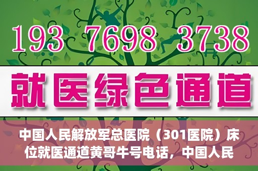 中国人民解放军总医院（301医院）床位就医通道黄哥牛号电话，中国人民解放军总医院（301医院）床位预约就医通道详解，黄哥牛号电话与预约指南