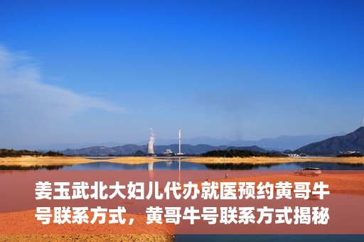 姜玉武北大妇儿代办就医预约黄哥牛号联系方式，黄哥牛号联系方式揭秘，预约姜玉武北大妇儿就医新渠道